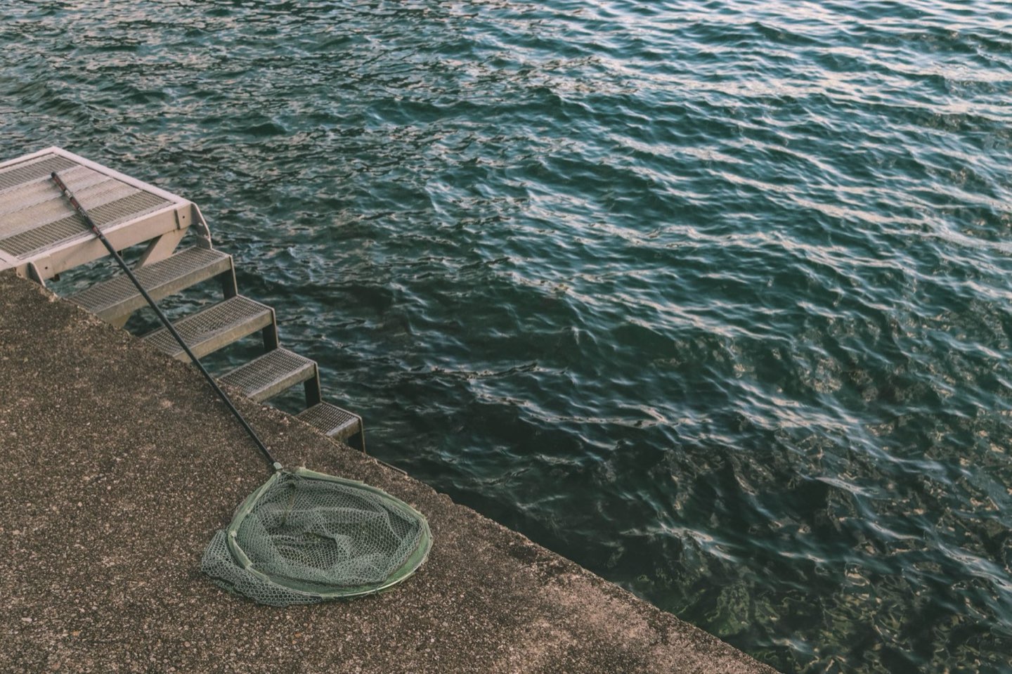 A skimmer net resting at the edge of a clean swimming pool.